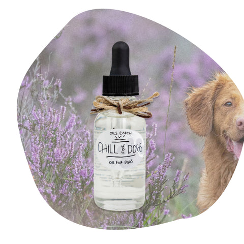 CHILL FOR DOGS Oil