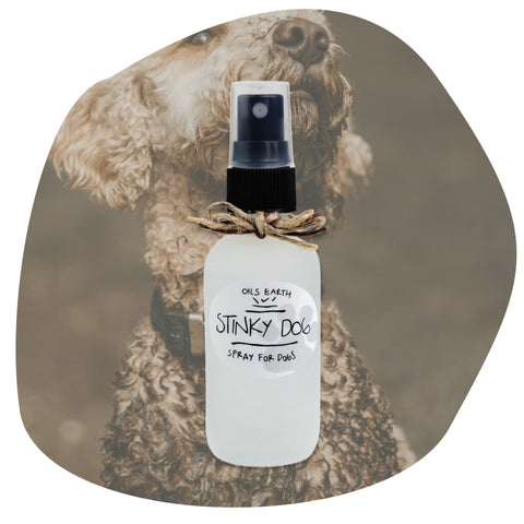 STINKY Dog Spray