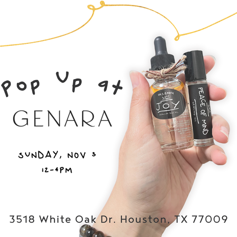 Sun 11/3 - Pop Up at Genara