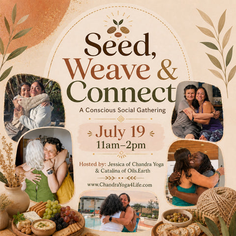 July 19  ⭐︎  Seed, Weave, and Connect
