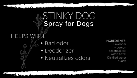 STINKY Dog Spray
